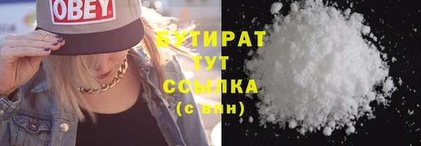 сатива Няндома