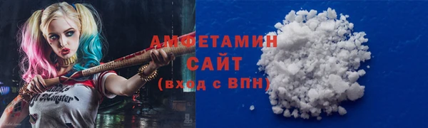 сатива Няндома