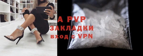сатива Няндома