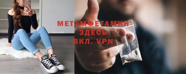 сатива Няндома
