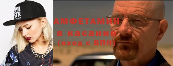 сатива Няндома