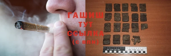 сатива Няндома