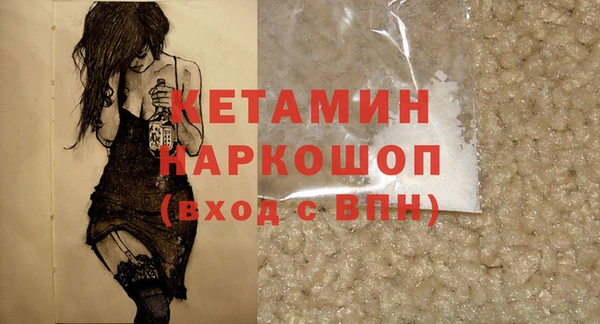 сатива Няндома