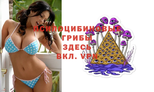 сатива Няндома