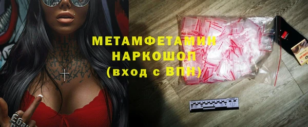 сатива Няндома